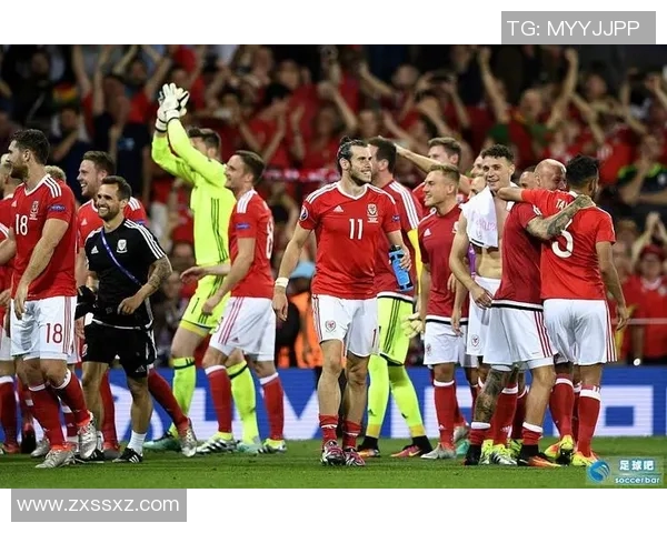 俄罗斯足球队的崛起与挑战分析：历史成就与未来展望